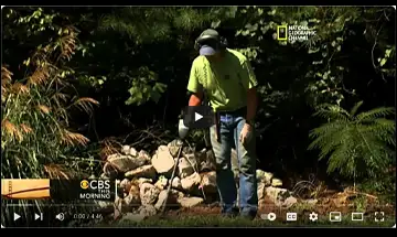 CBS This Morning segment image